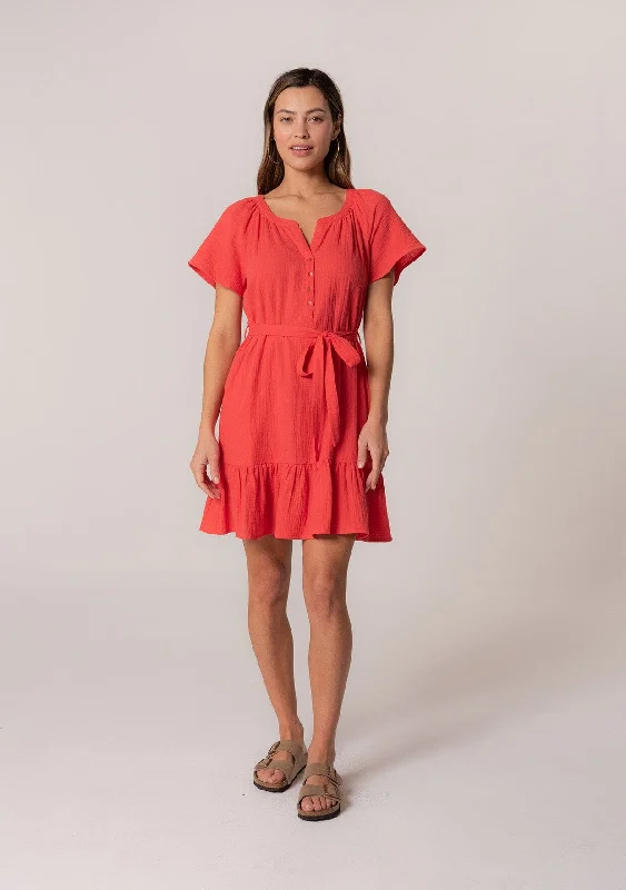 Sudie Mini Dress Elegant Tulle Mini Dress